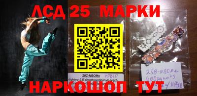 молекула духа Пугачёв