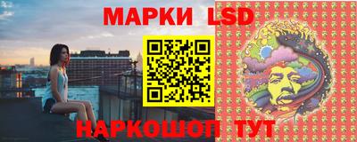 молекула духа Пугачёв