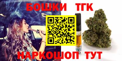 молекула духа Пугачёв