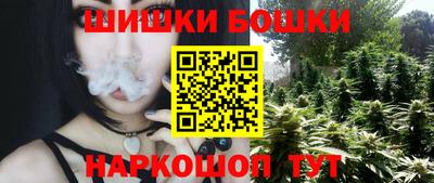 молекула духа Пугачёв