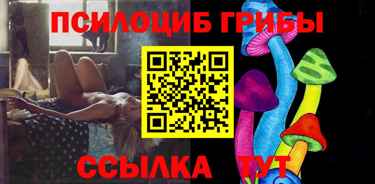 Удомля  Псилоцибиновые грибы прущие грибы  Вход с VPN  Псилоцибиновые грибы мицелий 